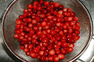 Компот из клюквы Компот из клюквы