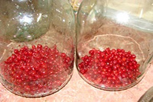 Компот на зиму из смородины Компот на зиму из смородины