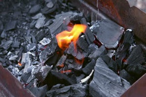 Шашлык с майонезом и минералкой Шашлык с майонезом и минералкой