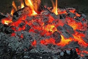 Шашлык с майонезом и горчицей Шашлык с майонезом и горчицей