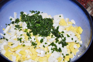 Салат из кальмаров с яйцом и сыром Салат из кальмаров с яйцом и сыром