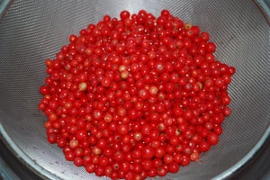 Варенье из красной смородины Варенье из красной смородины