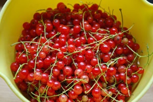 Варенье из красной смородины Варенье из красной смородины