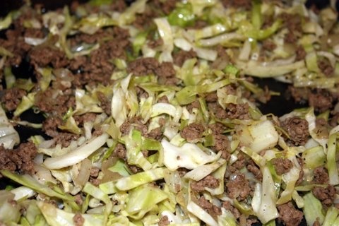 Капуста с мясом в мультиварке Капуста с мясом в мультиварке