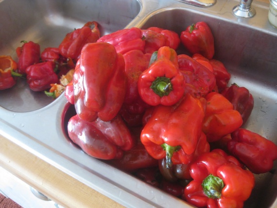 Жареный маринованный перец Жареный маринованный перец