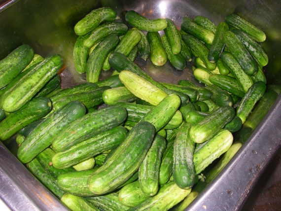 Маринованные огурцы по-болгарски Маринованные огурцы по-болгарски