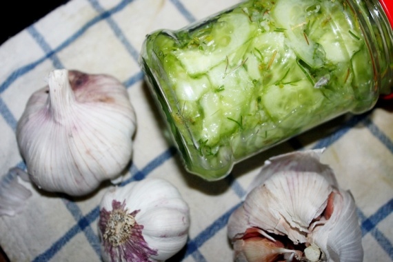 Огурцы маринованные кружочками Огурцы маринованные кружочками