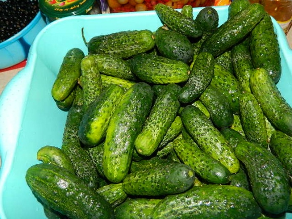 Маринованные огурцы с луком в масле Маринованные огурцы с луком в масле