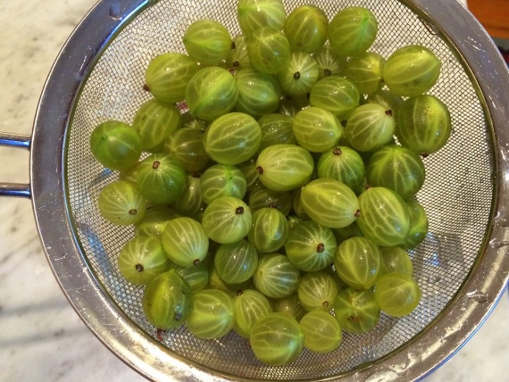 Соус из крыжовника Соус из крыжовника