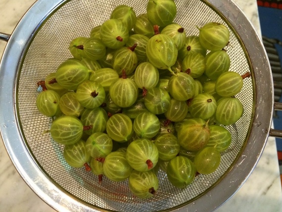 Соус из крыжовника Соус из крыжовника