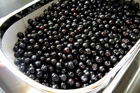 Компот из ранеток и черноплодки Компот из ранеток и черноплодки