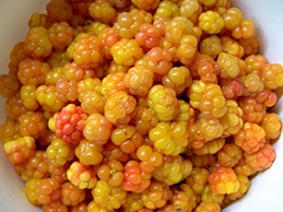 Варенье из морошки Варенье из морошки