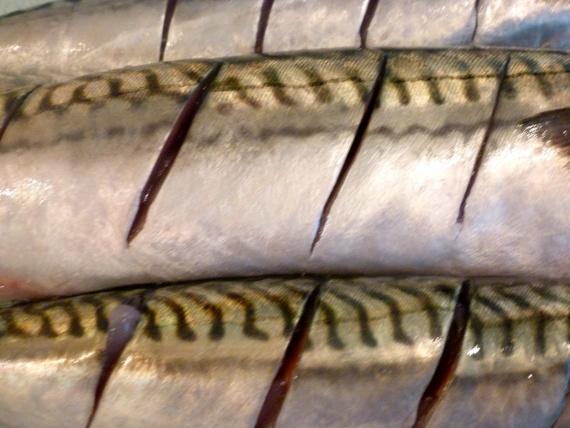 Запеченная скумбрия с луком Запеченная скумбрия с луком