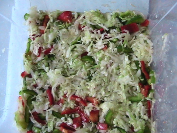 Капуста, маринованная с болгарским перцем Капуста, маринованная с болгарским перцем