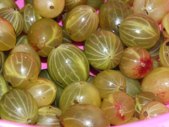 Варенье из крыжовника с клубникой Варенье из крыжовника с клубникой