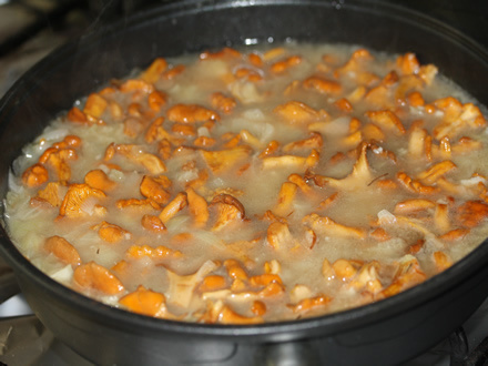 Курица с лесными грибами Курица с лесными грибами