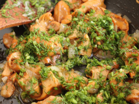 Куриный рулет с цукини и лисичками Куриный рулет с цукини и лисичками