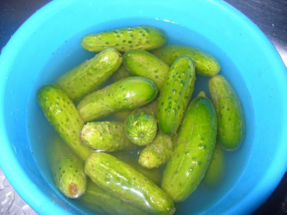 Маринованные огурцы Маринованные огурцы