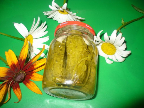 Маринованные огурцы Маринованные огурцы