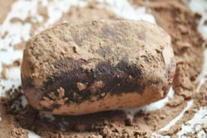 Пирожное «Картошка» из бисквита Пирожное «Картошка» из бисквита