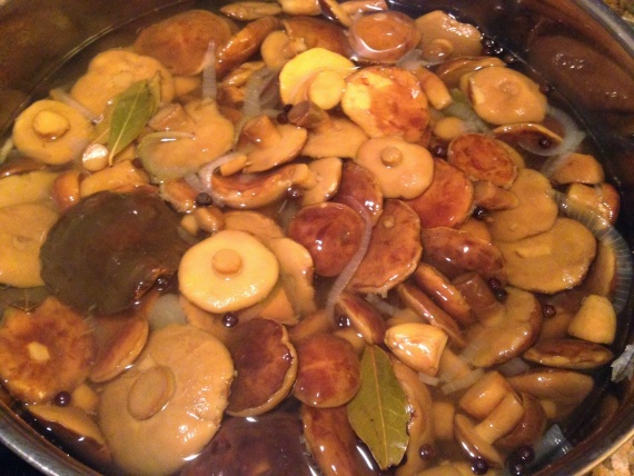 Маринованные грибы с луком Маринованные грибы с луком