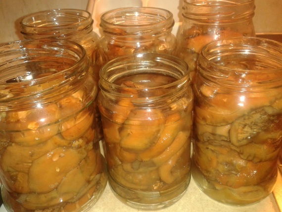 Маринованные рыжики на зиму Маринованные рыжики на зиму
