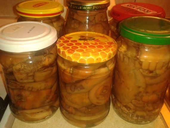 Маринованные рыжики на зиму Маринованные рыжики на зиму
