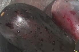 Квашенные баклажаны с чесноком Квашенные баклажаны с чесноком
