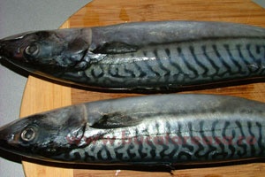 Быстро маринованная скумбрия Быстро маринованная скумбрия