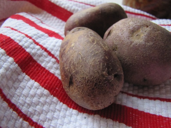 Куриный суп с клецками Куриный суп с клецками