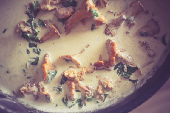 Курица с лисичками в сливочном соусе Курица с лисичками в сливочном соусе