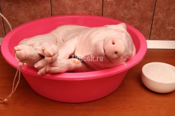 Поросенок в духовке Поросенок в духовке