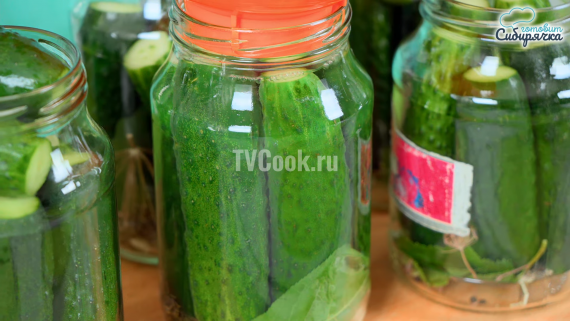 Маринованные огурцы с уксусом без стерилизации и сахара Маринованные огурцы с уксусом без стерилизации и сахара