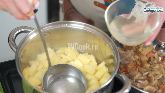Овощной суп-пюре с грибами Овощной суп-пюре с грибами