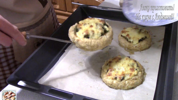 Мясные ватрушки с грибами и сыром Мясные ватрушки с грибами и сыром