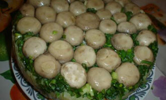 Салат "Полянка"