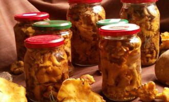 Маринованные лисички на зиму