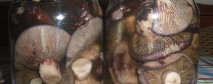 Заготовка на зиму маринованных груздей