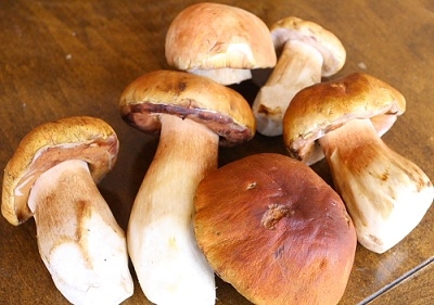 Перебираем и чистим грибы