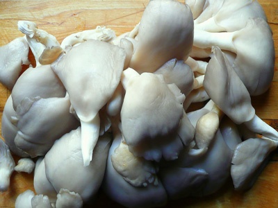 грибы на доске