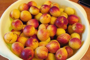 абрикосы в миске