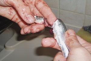 чистка рыбы