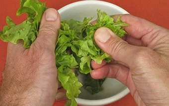 рвем руками салатные листья