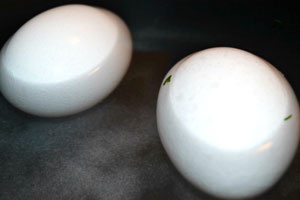 яйца в сотейнике