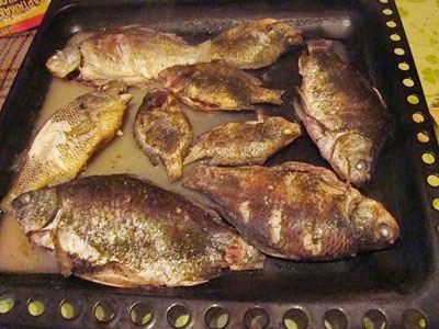 готовая рыба в духовке