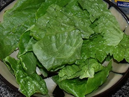 промываем салатные листья
