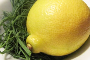 укроп и лимон