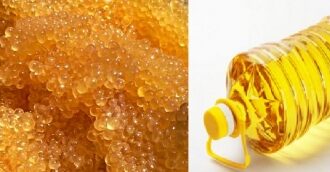 Солёная икра сельди