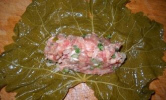 Долма: Голубцы в виноградных листьях — Пошаговый рецепт