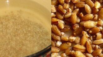Рассольник с перловкой: Подробный рецепт